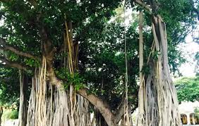 సిన్న సూపు సూడొద్దు